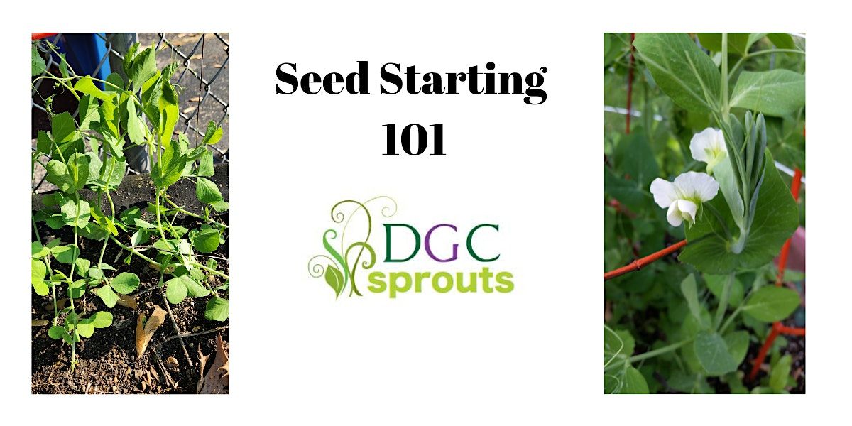 Seed Starting 101 with DGC Sprouts