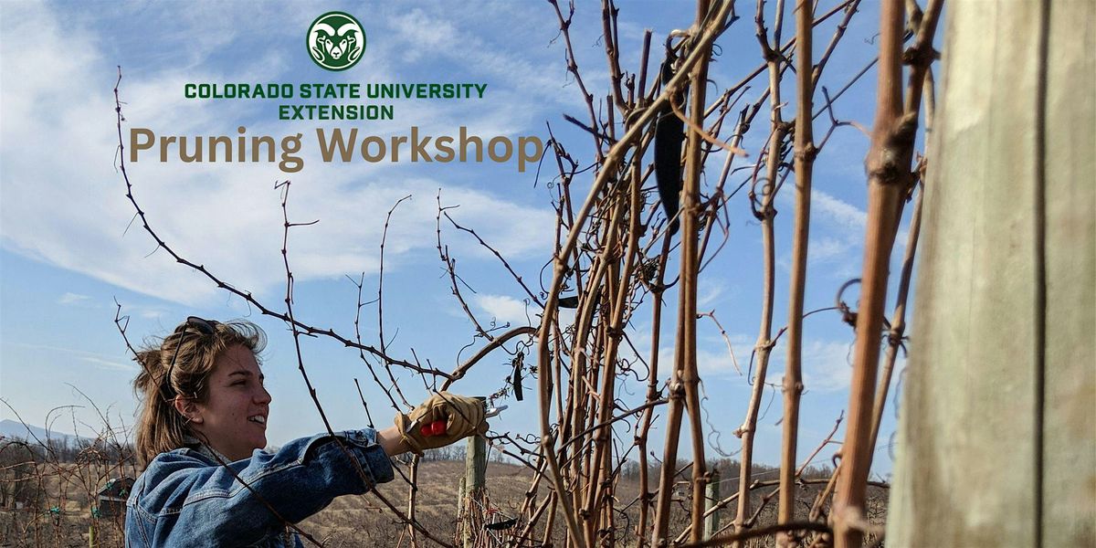 Grand Junction Grape Pruning Workshop