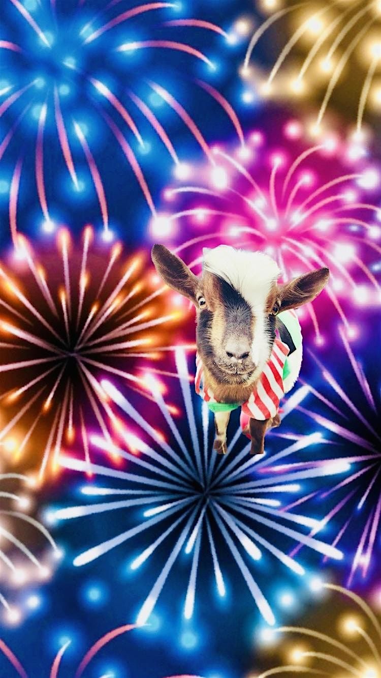 NYE Goat Yoga Las Colinas!