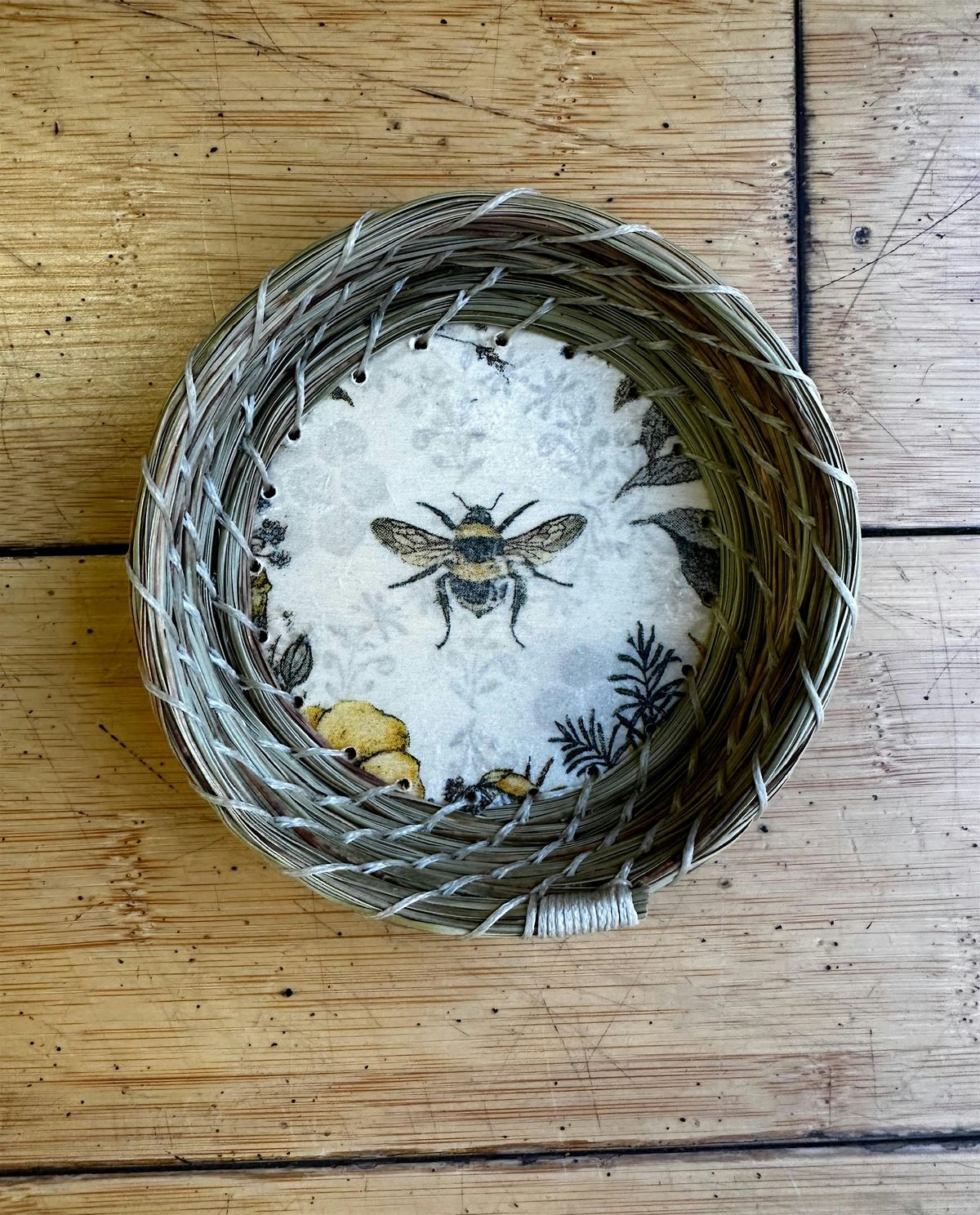 Beginning Pine-Needle Basketry