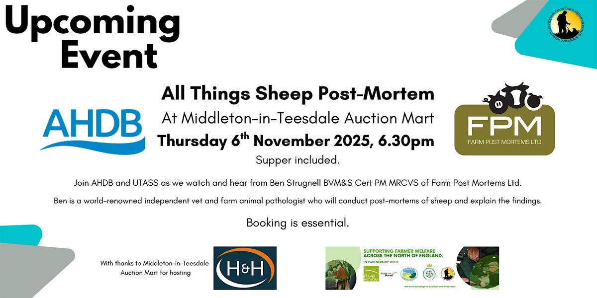 All Things Sheep Post-Mortem