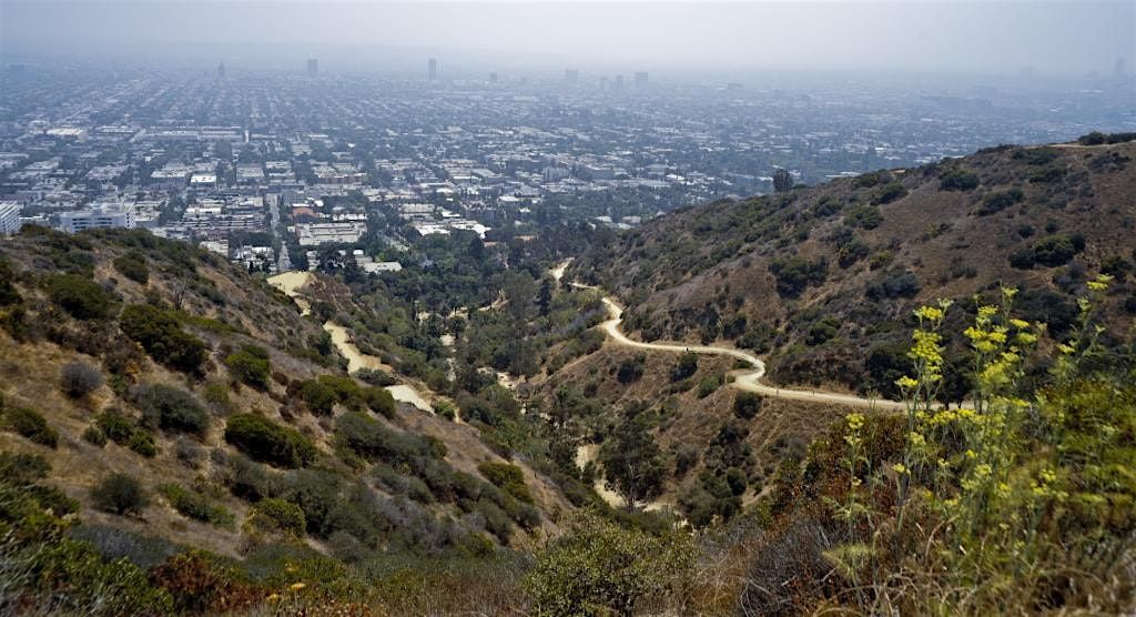 Hike with the Marshall Young Alumni Council - Runyon Canyon Trail