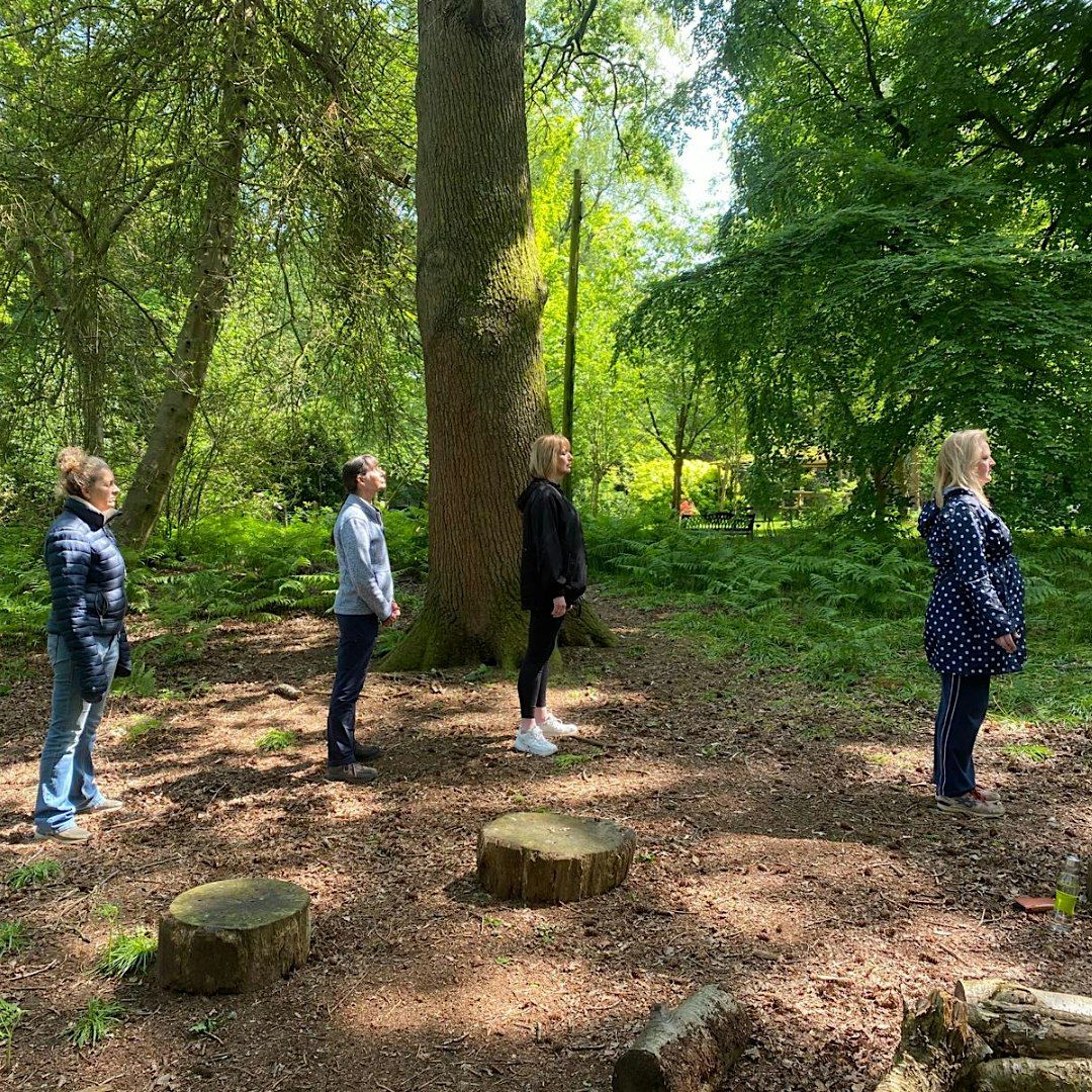 Nature Connection: A Forest Bathing Experience