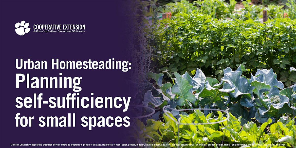 Urban Homesteading: Planning self-sufficiency for small spaces