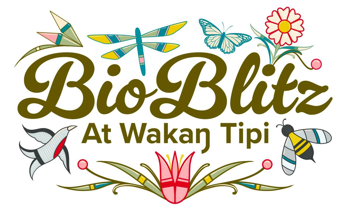 BioBlitz at Waka\u014b Tipi