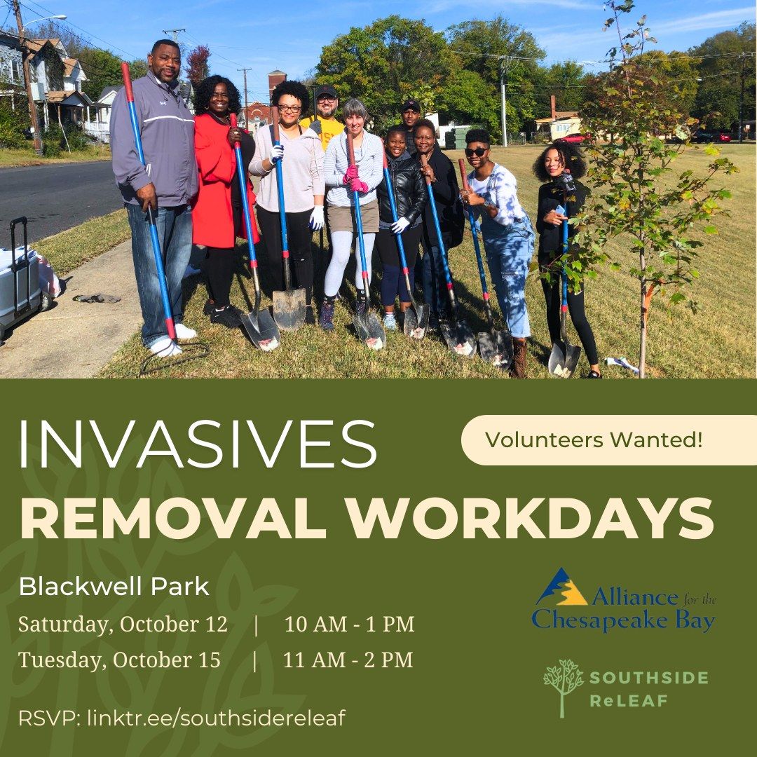 Invasive Species Removal Workday at Blackwell Park - October 12