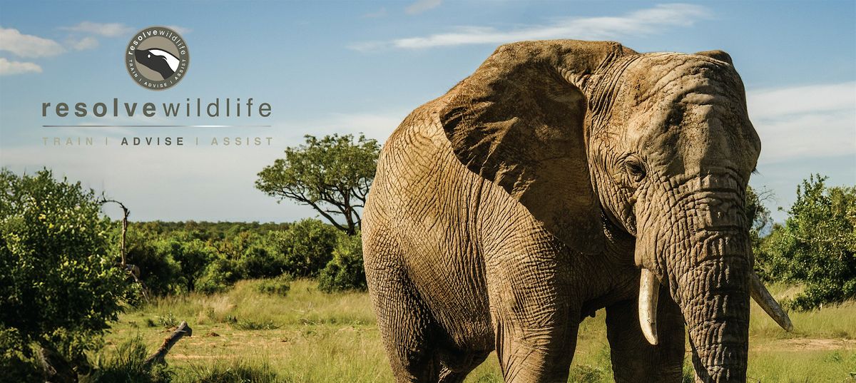 Resolve Wildlife UK Launch