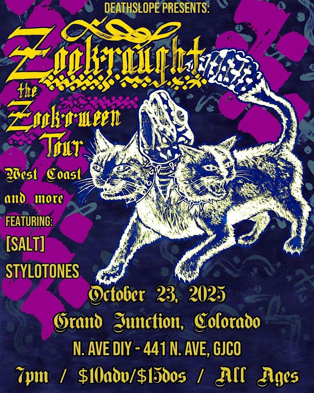Zookraught, Salt, & Stylotones @ N. AVE DIY