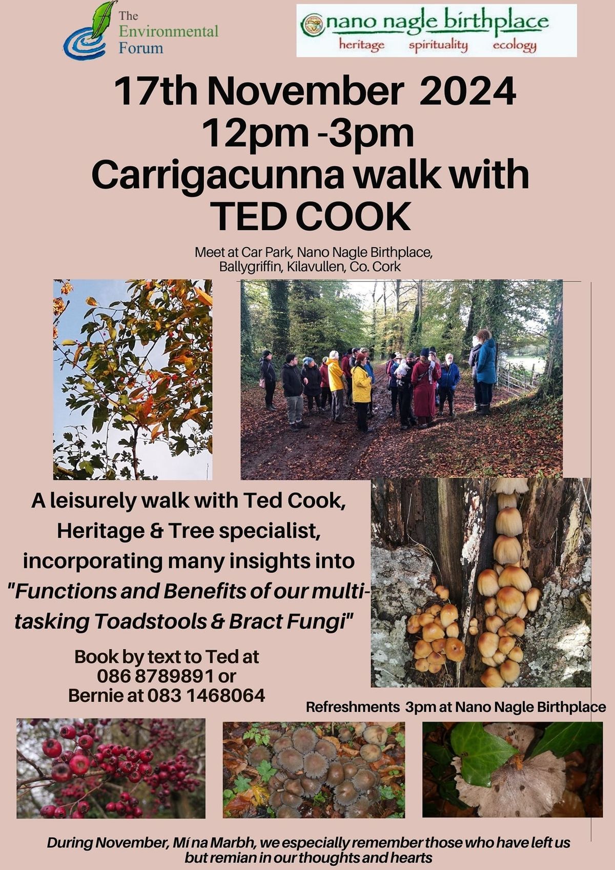 Ted Cook Fungi Walk, Carrigacunna, Kilavullen 