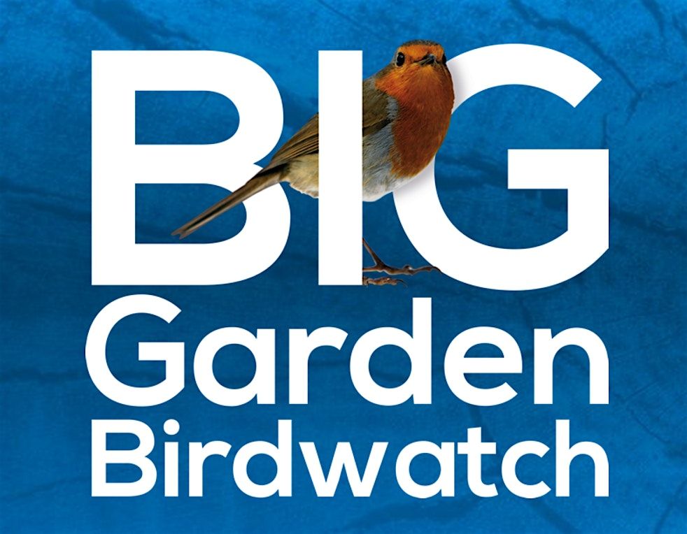 BIG GARDEN BIRDWATCH
