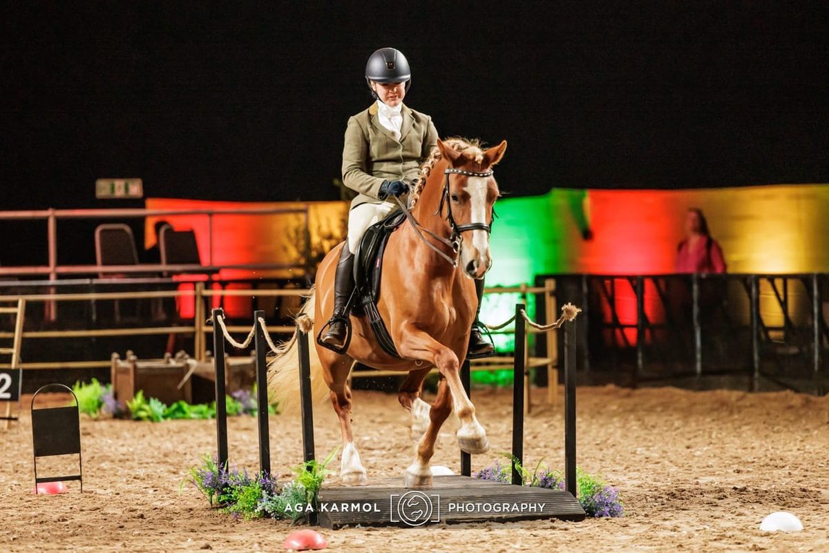 Working Equitation Clinic