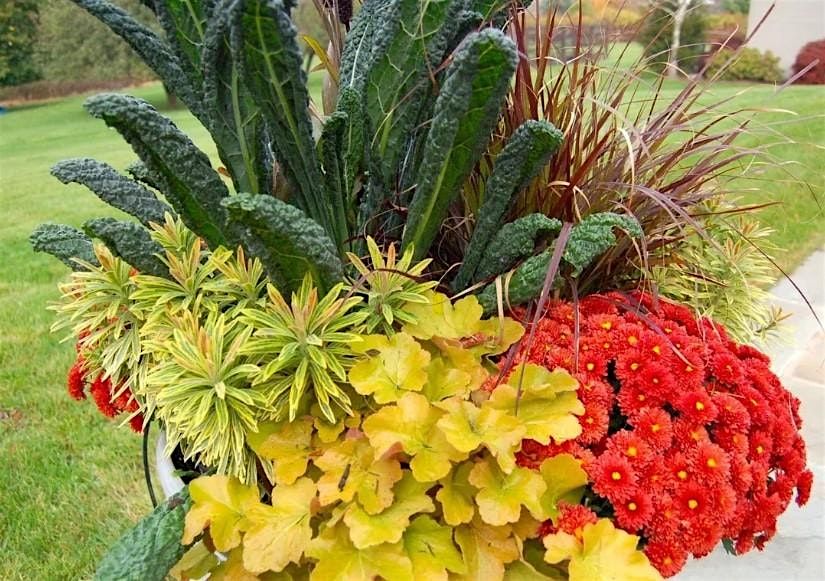 Pots of Possibilities- Potting Up Autumn Magic