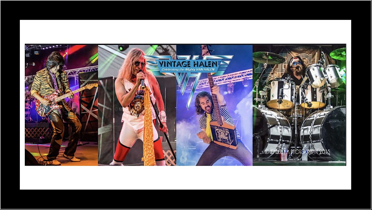 VINTAGE HALEN~A STELLAR TRIBUTE TO VAN HALEN!