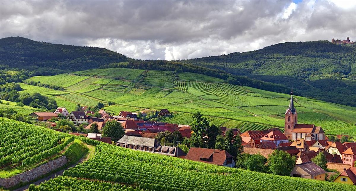 Alsace: Wine tasting experience and dinner
