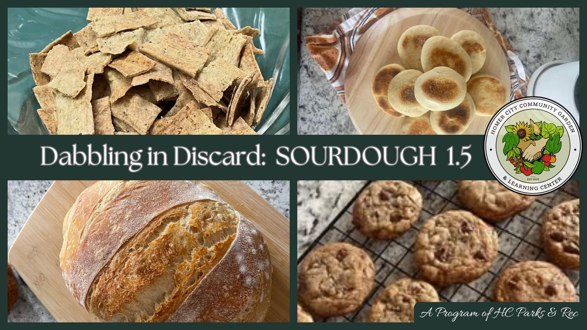 Dabbling in Discard: Sourdough 1.5