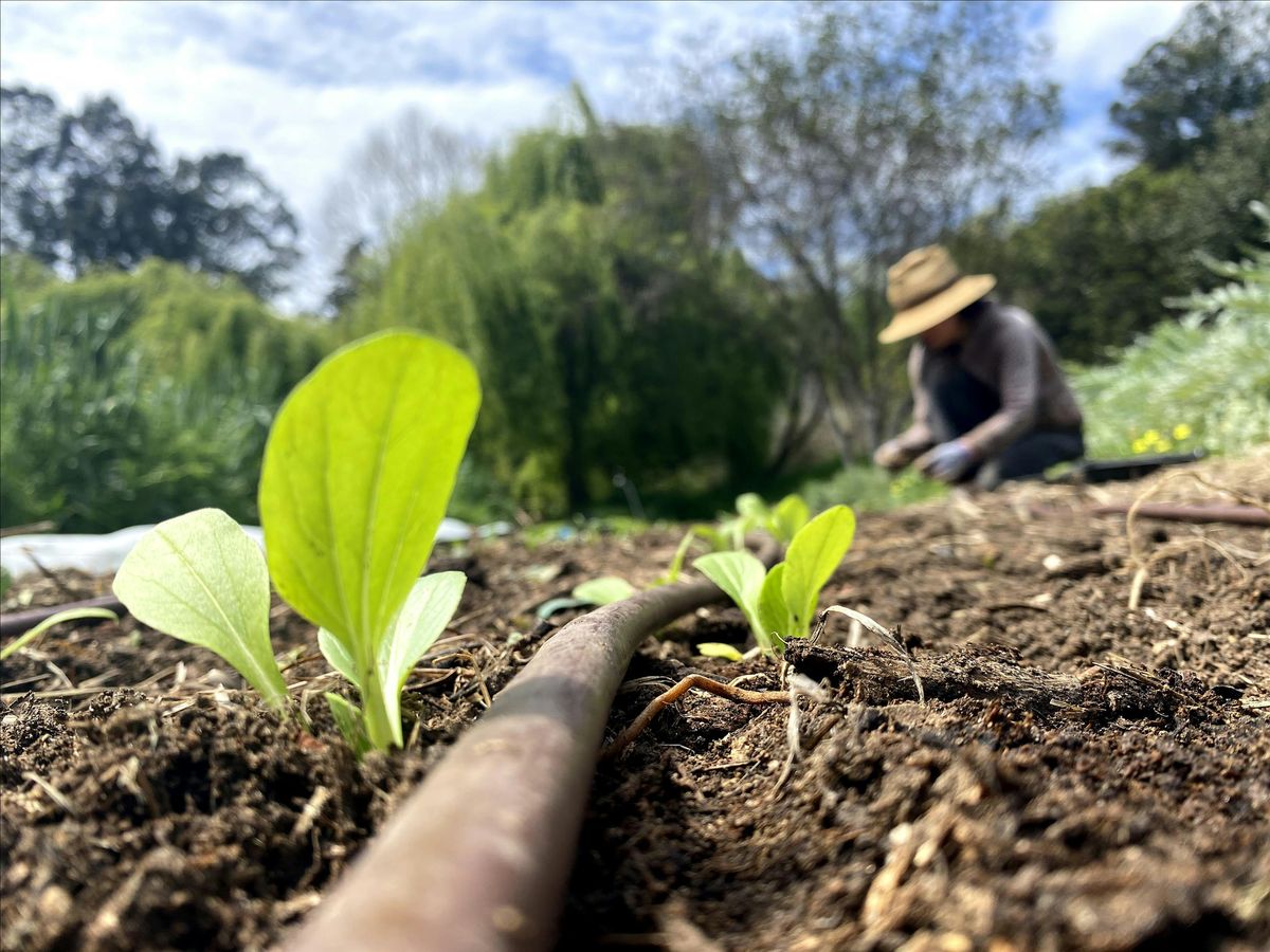 Get Your Garden Growing! Introduction to Organic Vegetable Gardening