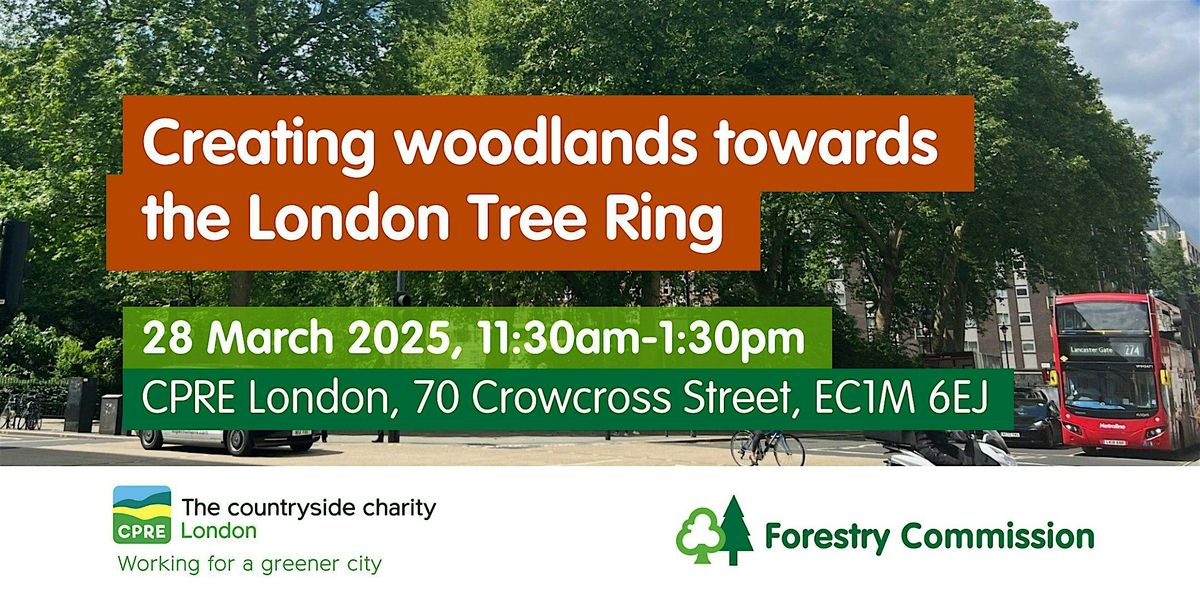 Towards the London Tree Ring