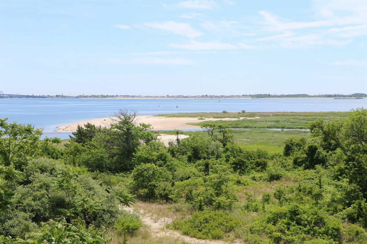 World Wetlands Day Cleanup at Plumb Beach