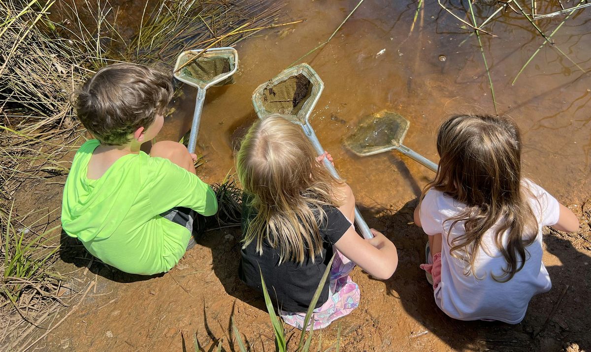 Wee Naturalists 2025 Spring Session 2 PM