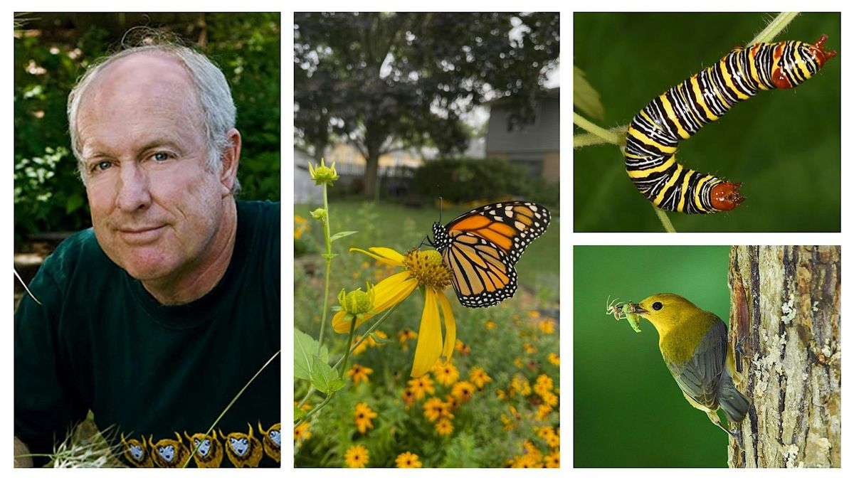 SAVING NATURE WITH YOUR YARD