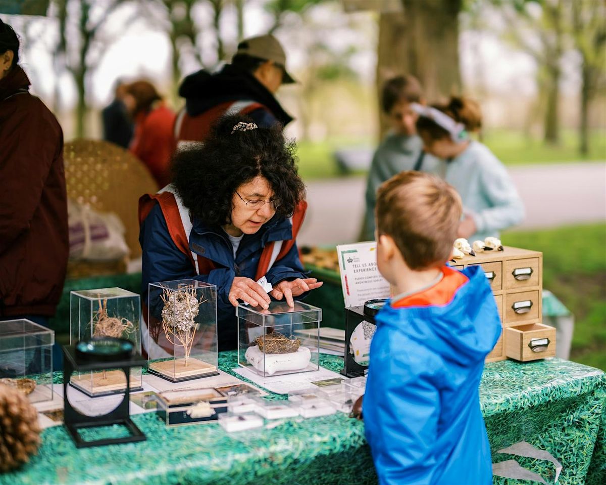 October Half Term Nature Roadshows