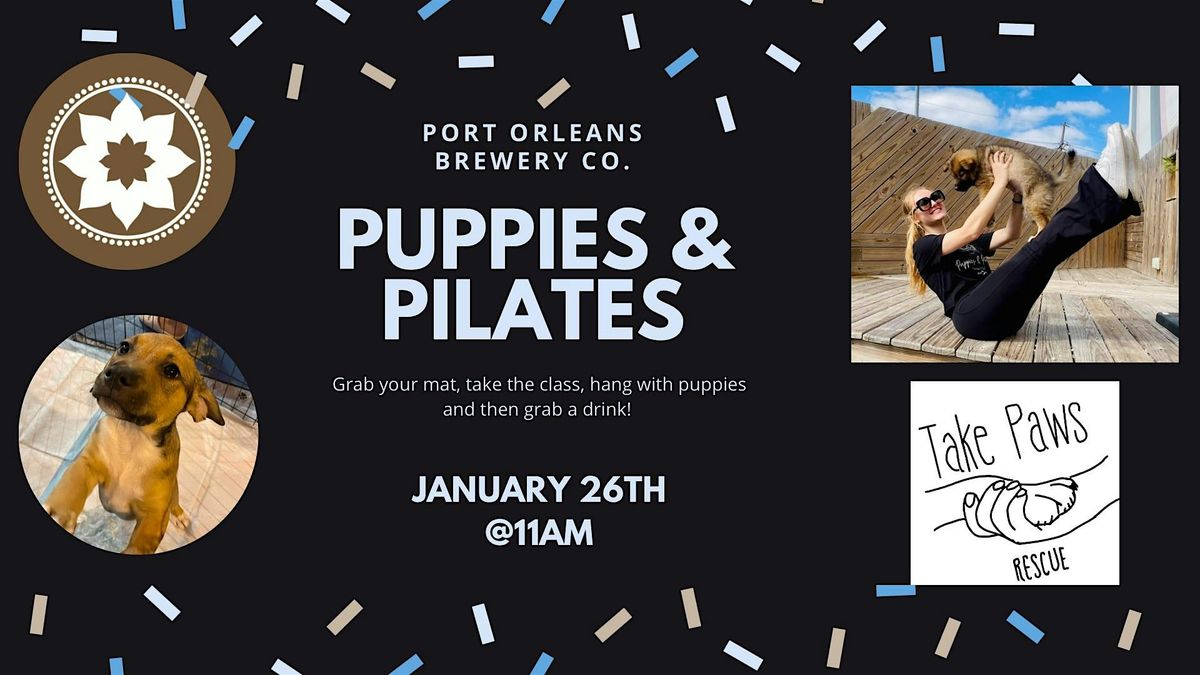 Puppies and Pilates Mat Class