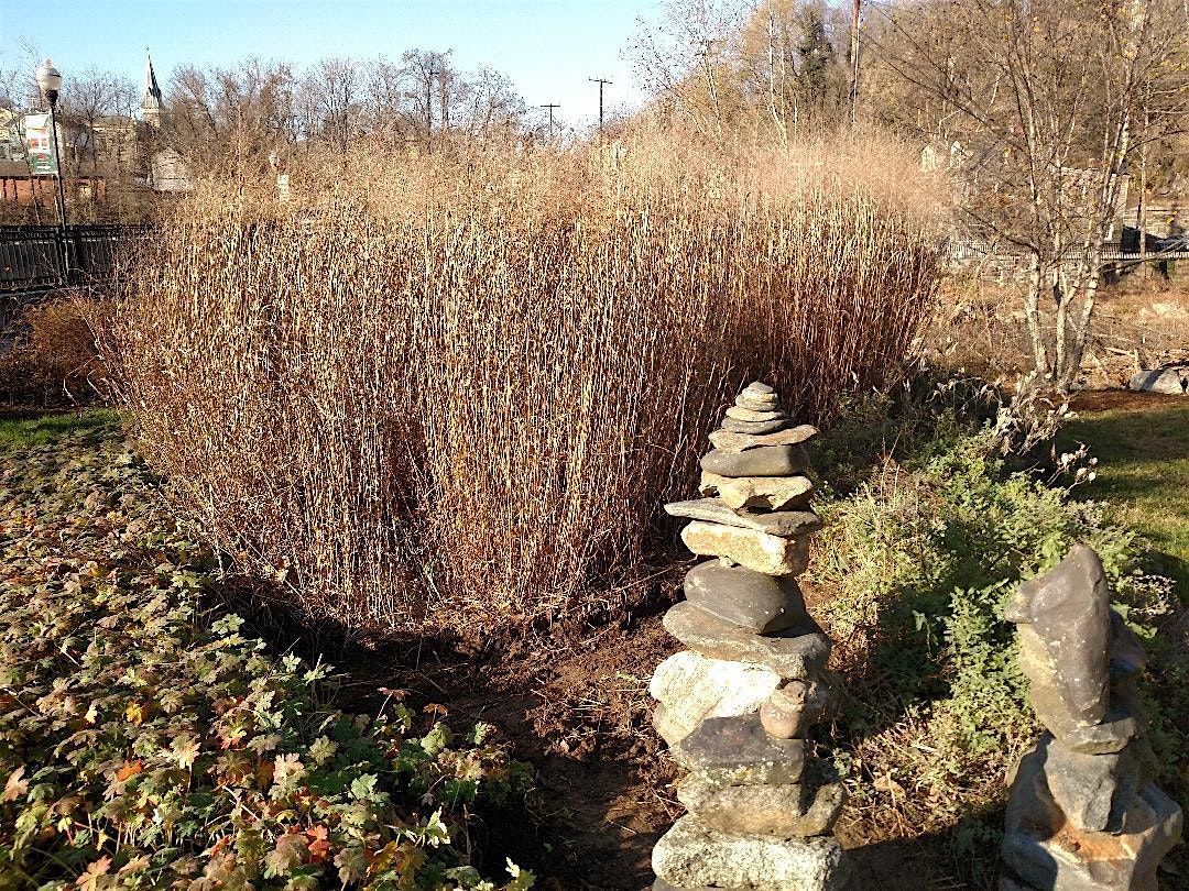 Autumn Event in the Oella Garden