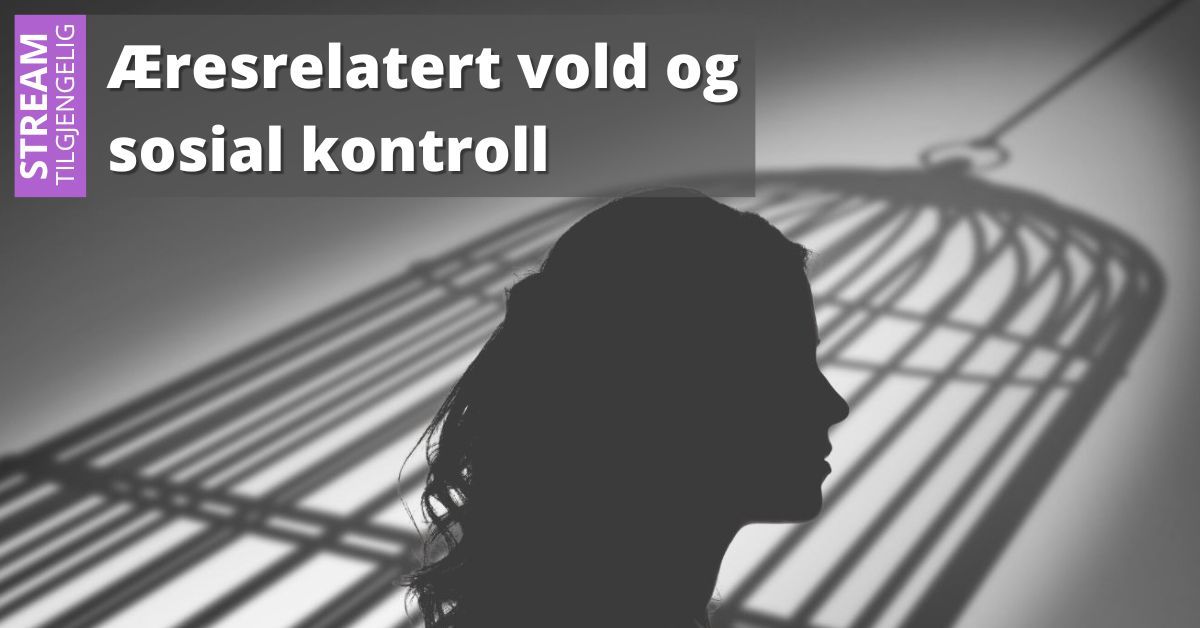 \u00c6resrelatert vold og sosial kontroll