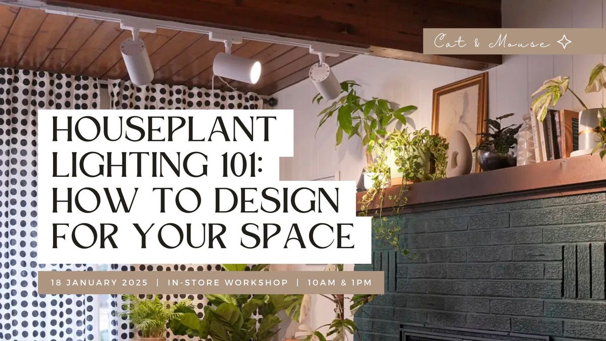 Houseplant Lighting 101: Learn How to Test Your Lighting & Design Grow Lights For Your Space