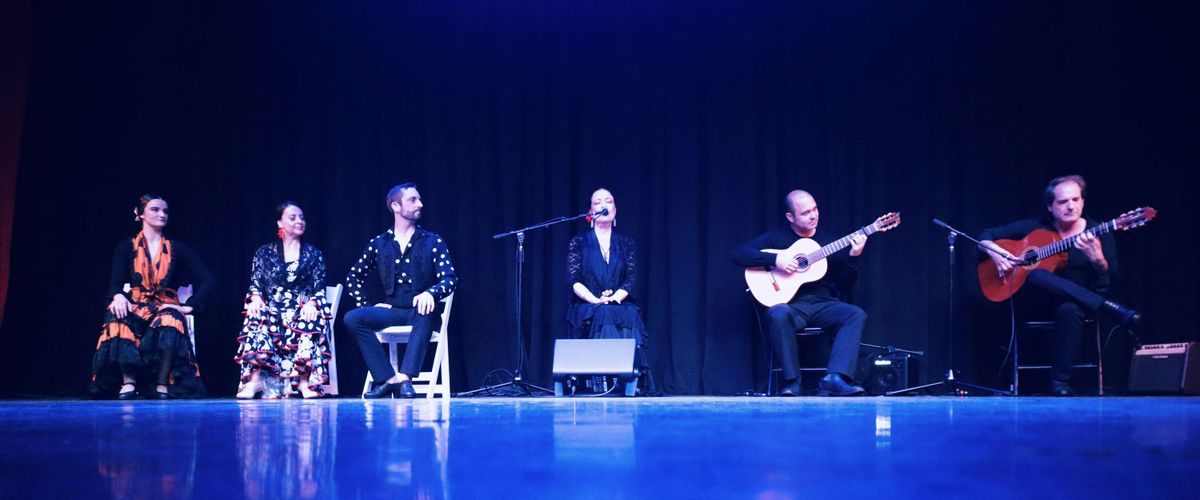 Concert in the Gallery: The Flamenco Sessions