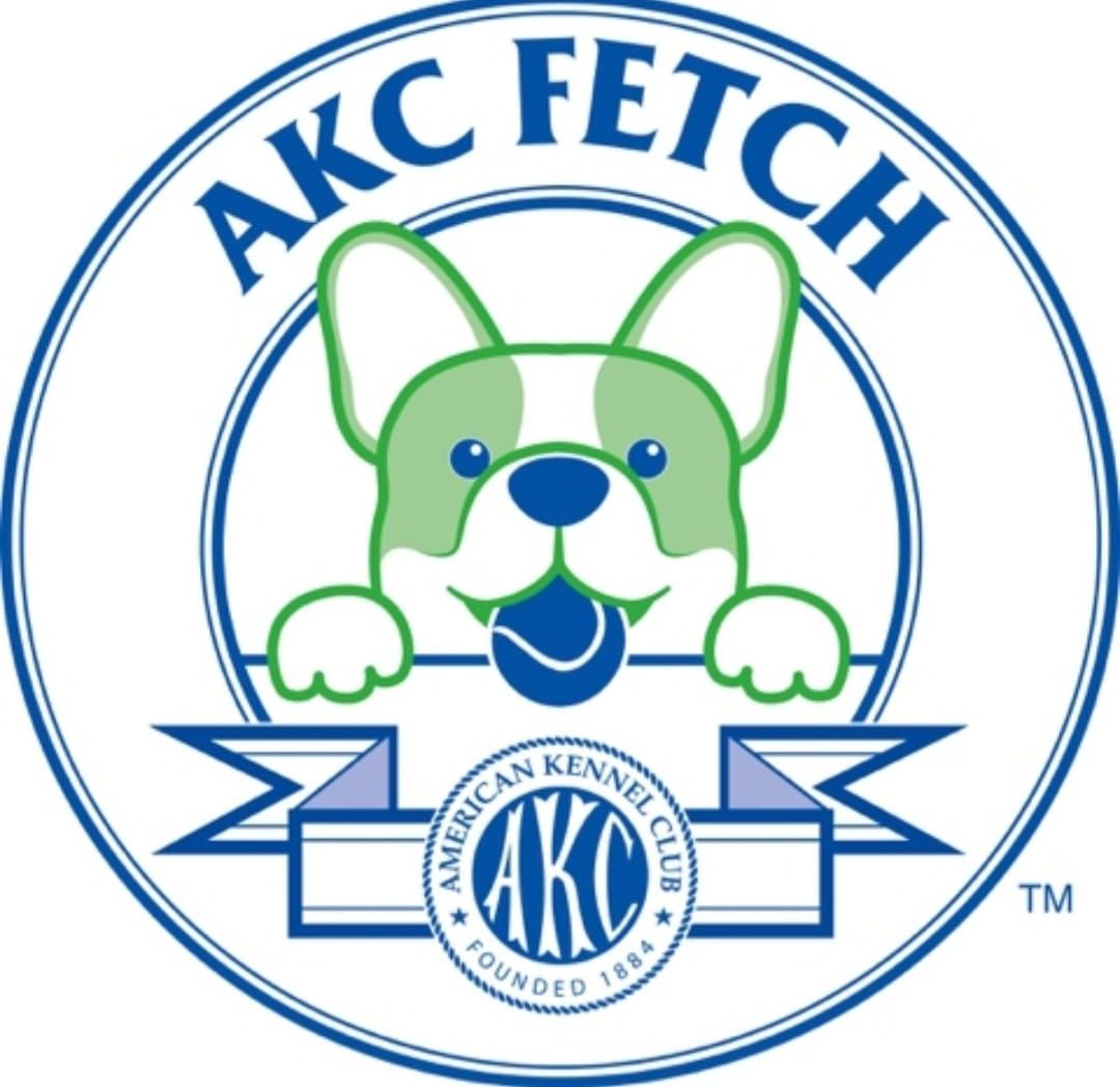 AKC Fetch Testing