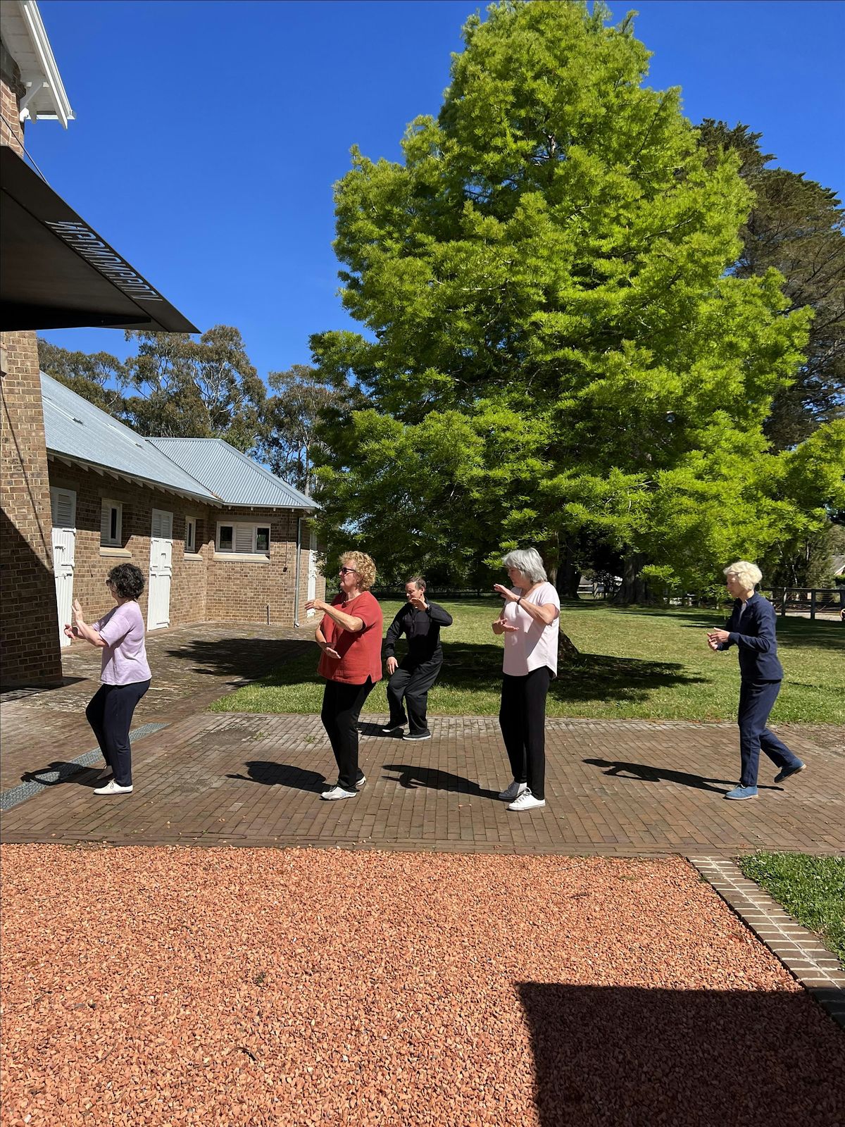 Golden Roosters | Tai Chi Term 4 | Single Entry Pass