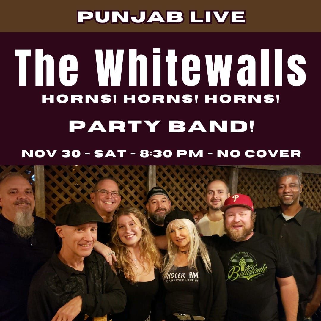 The Whitewalls @Punjab Live