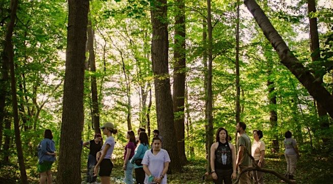 Forest Bathing Workshop at Leakin Park