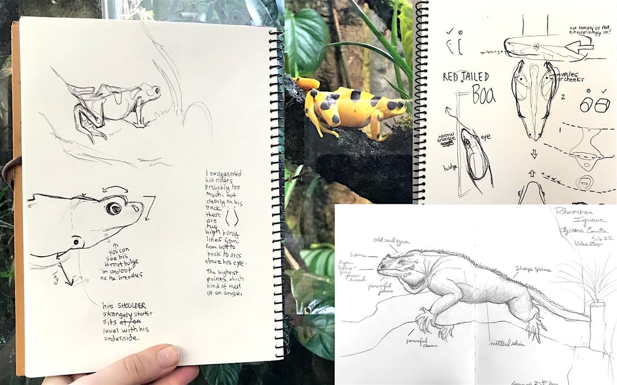 Zoo Nature Journaling: Sketch, Write, Wonder