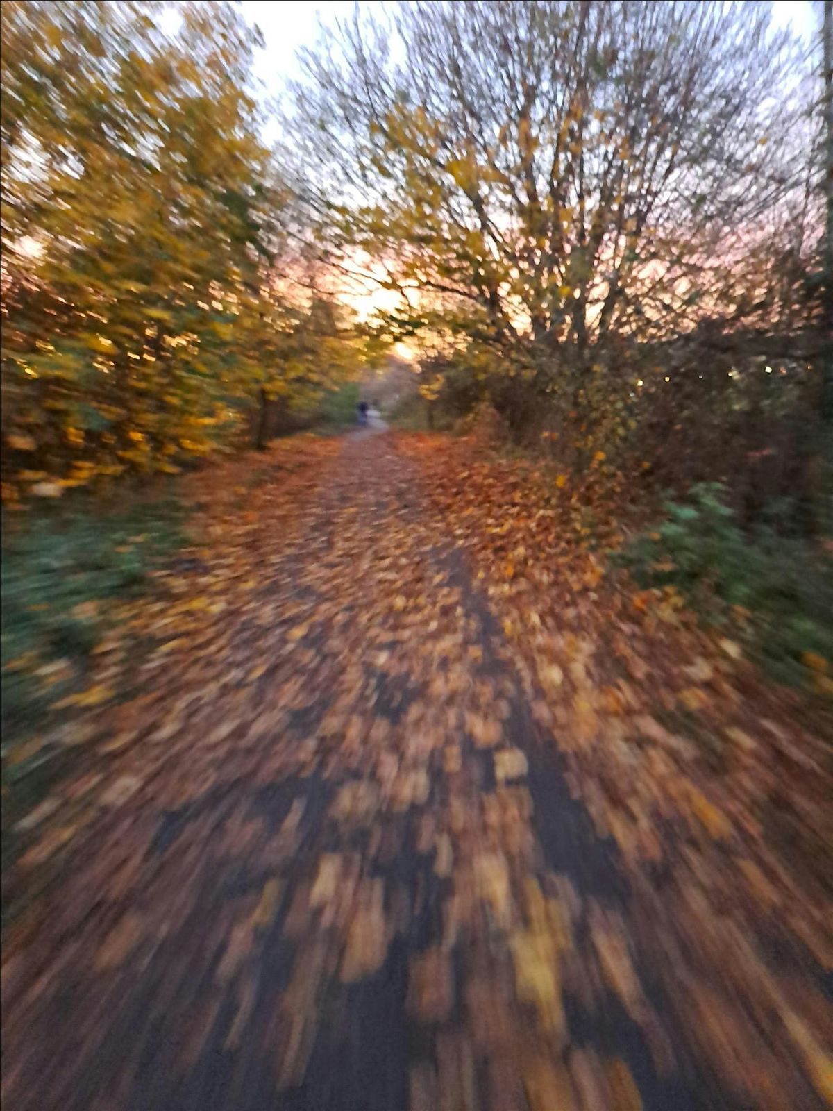 Waggonways: a celebration of north east paths and early railways