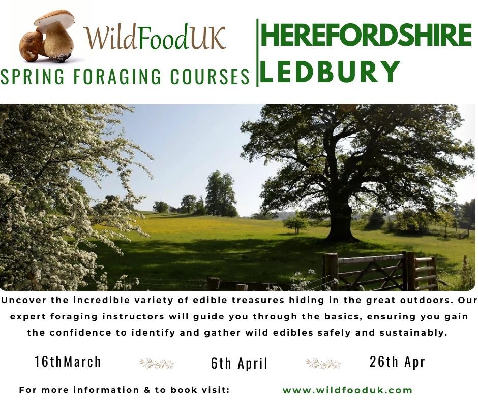 Herefordshire, Ledbury Spring Foraging Course