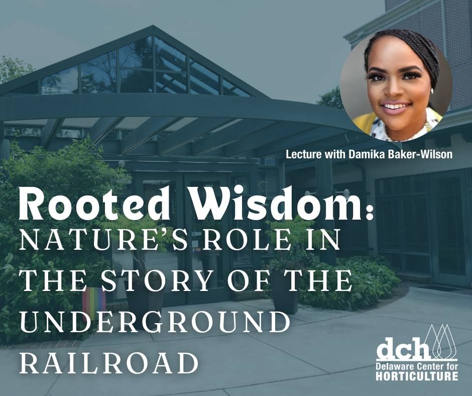 Rooted Wisdom: Nature\u2019s Role in the Story of the Underground Railroad