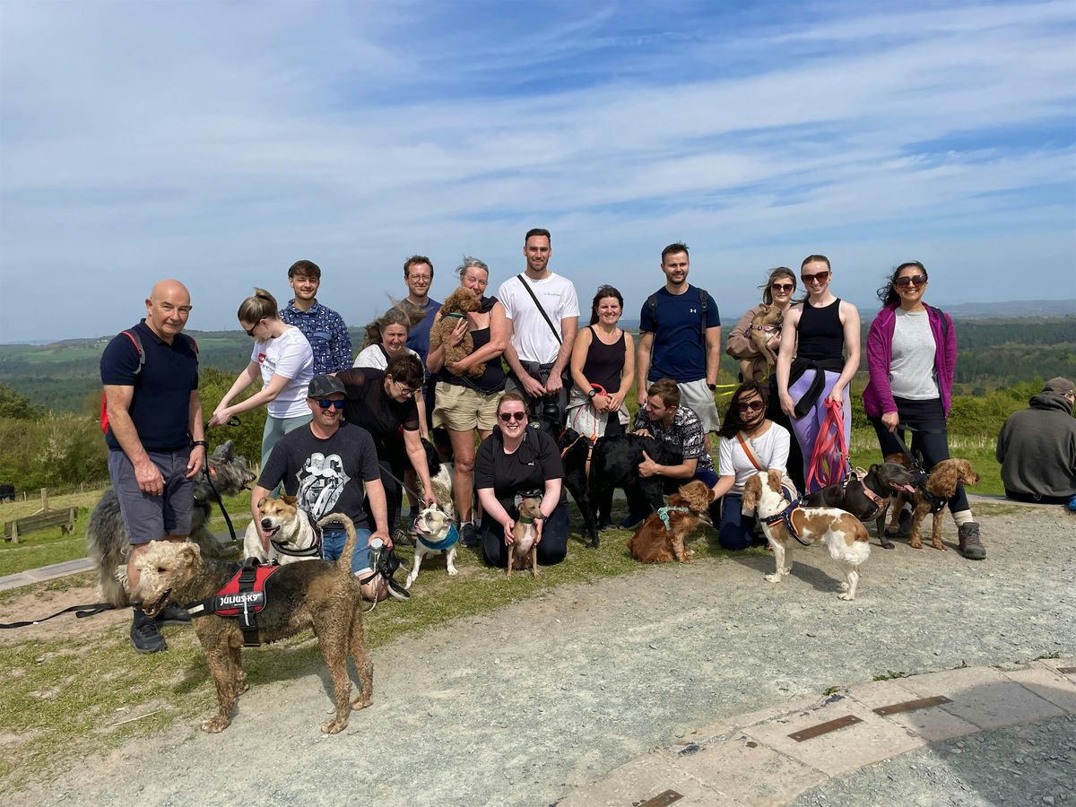 Group dog walk - Marline Valley Nature Reserve