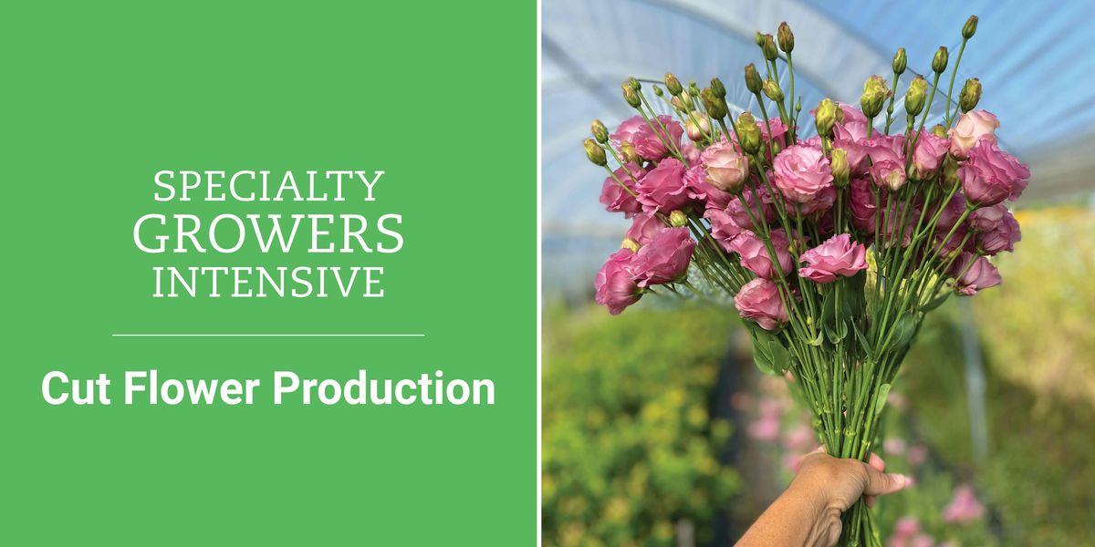 Specialty Growers Intensive: Cut Flower Production