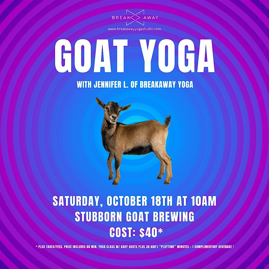 Goat Yoga at Stubborn Goat Brewing