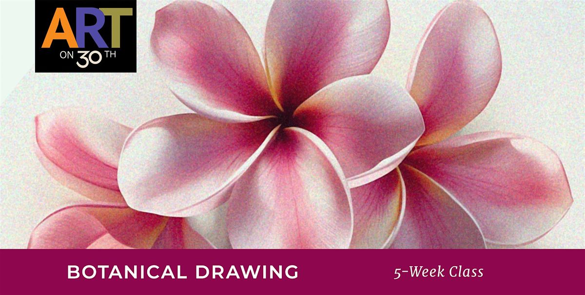 THU PM - Botanical Drawing with Stephanie Henry