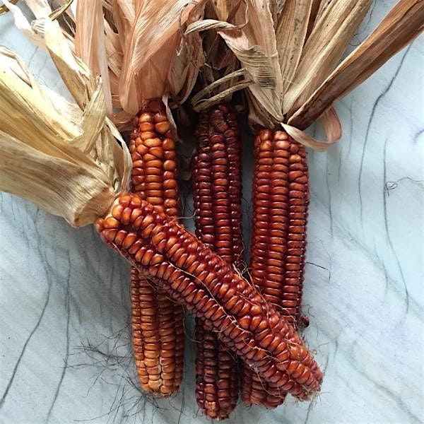 Seed Keeping Workshop