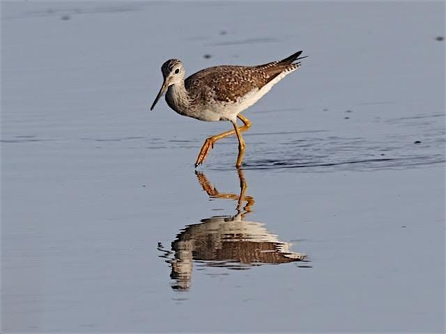 Nocatee Landing with Bill McNee (1)