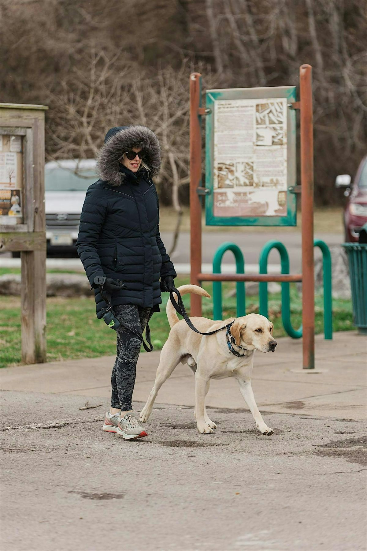 Wags & Walks Leash Skills Class