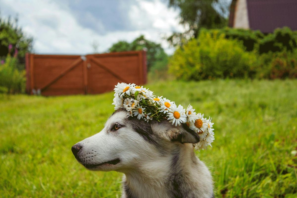 Flower Crown Workshop with Calluna Alchemy