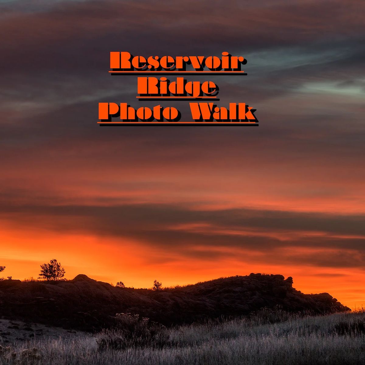 Photo Walk: Evening at Reservoir Ridge Art Class