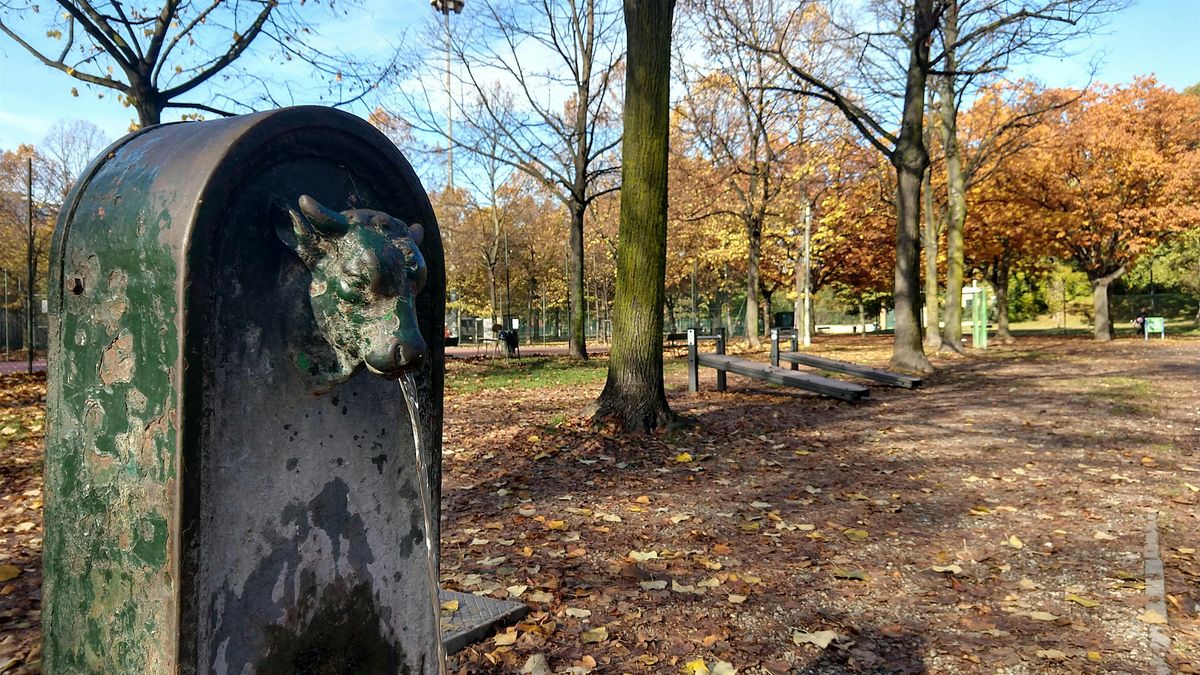 Trekking Urbano Linea 2: Pianezza - Clessidra