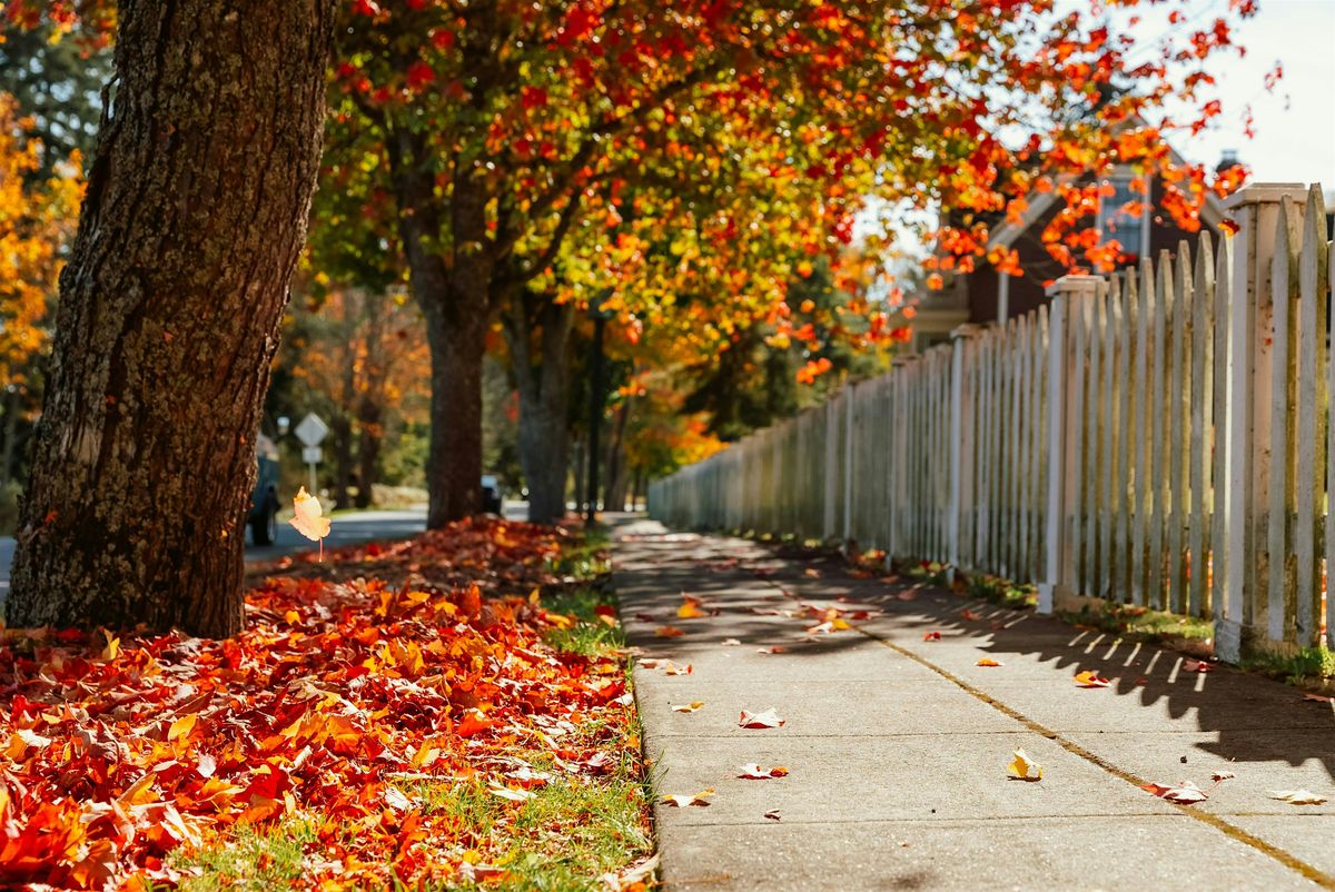 Henry's Ottawa: The Urban Landscape in Fall + Fall Photo Walk