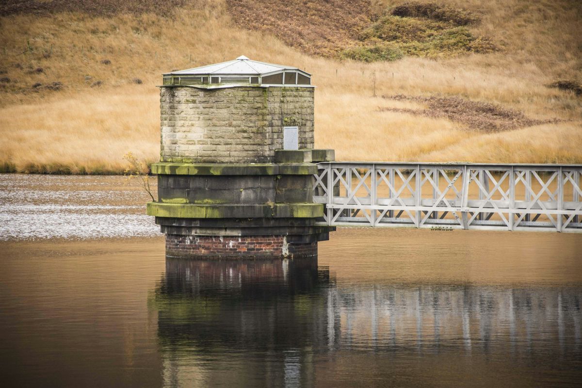 Beginners Photography Workshop